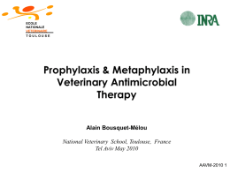 Prophylaxis &amp; Metaphylaxis in Veterinary Antimicrobial Therapy Alain Bousquet-Mélou