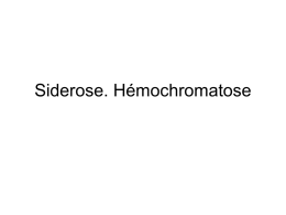 Siderose. Hémochromatose