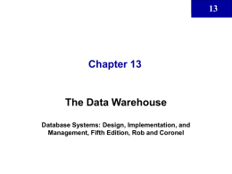 Chapter 13 The Data Warehouse 13 Database Systems: Design, Implementation, and