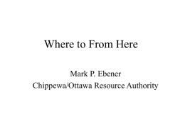 Where to From Here Mark P. Ebener Chippewa/Ottawa Resource Authority