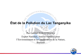 État de la Pollution du Lac Tanganyika