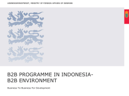B2B PROGRAMME IN INDONESIA- B2B ENVIRONMENT Business-To-Business For Development