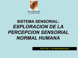 EXPLORACION DE LA PERCEPCION SENSORIAL NORMAL HUMANA SISTEMA SENSORIAL: