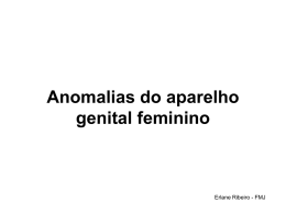 Anomalias do aparelho genital feminino Erlane Ribeiro - FMJ