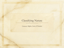 Classifying Nature Linnaeus, Buffon, Cuvier, Whittaker