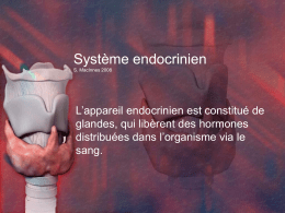 Système endocrinien
