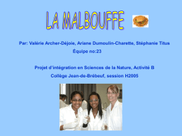 Par: Valérie Archer-Déjoie, Ariane Dumoulin-Charette, Stéphanie Titus Équipe no:23