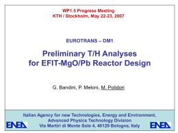 Preliminary T/H Analyses for EFIT-MgO/Pb Reactor Design – DM1