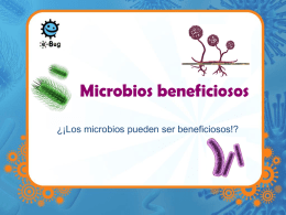 Microbios beneficiosos ¿¡Los microbios pueden ser beneficiosos!?