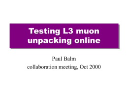 Testing L3 muon unpacking online Paul Balm collaboration meeting, Oct 2000