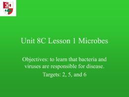 Unit 8C Lesson 1 Microbes Objectives: to learn that bacteria and