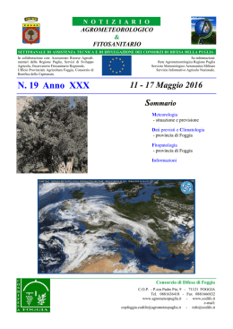 Scarica il Bollettino n. 19-2016