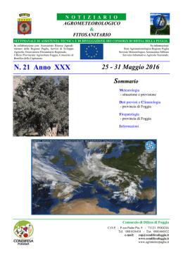 Scarica il Bollettino n. 21-2016