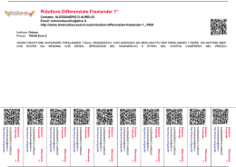 Riduttore Differenziale Freelander 1