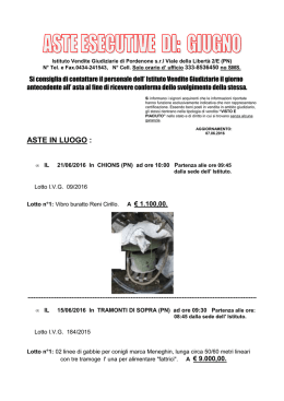 07.06.16 AGG.TO ASTE ESECUTIVE di GIUGNO