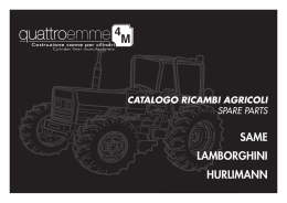 Scarica il catalogo - RETTIFICA CANNE E CILINDRI