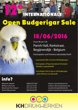 Open Budgerigar Sale