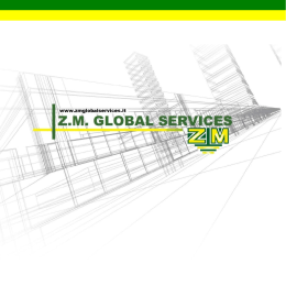 ZM Global Services Brochure