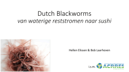 pitch 2 Dutch blackworms