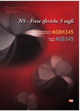 NS-Flayer-MSBH345-MSB345