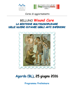 BELLUNO Wound Care - Day Surgery Italia