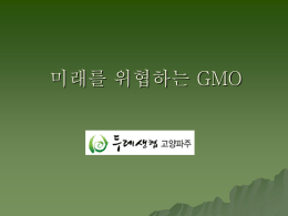 GMO는 안전한가?
