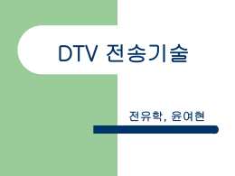 DTV 전송기술