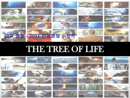 2011 칸영화제 수상작 The Tree of Life