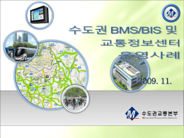 4. 국외 BMS/BIS 구축현황