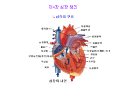 (제4장) 심장생리