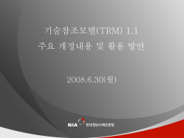 범정부 TRM 1.1 개정 내용