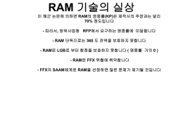 RAM 기술의 실상090528