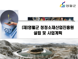 (재)영월군 청정소재산업진흥원 설립 및 사업계획