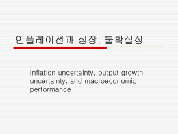 인플레이션과 성장, 불확실성