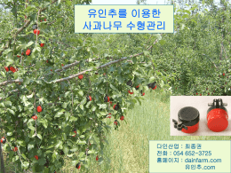 유인추를 이용한 사과나무 수형관리 다인산업