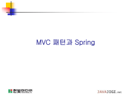 7. MVC Patten N Spring