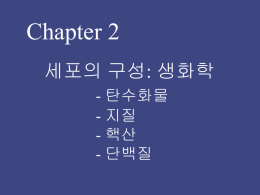 Chapter 2 (7428608)