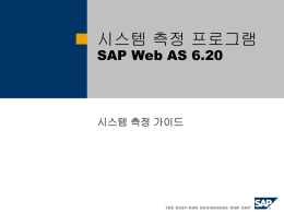 을 실행합니다. - SAP Support Portal