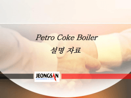 Petro Coke Boiler 설명 자료