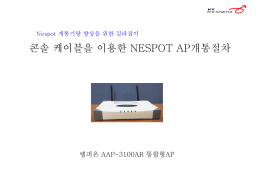 콘솔 케이블을 이용한 NESPOT AP 개통절차