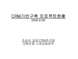 CRM기반구축 프로젝트현황 (2002.6.20)