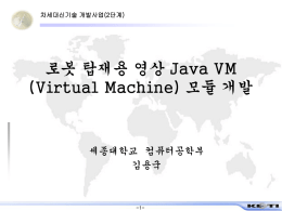 로봇 탑재용 영상 Java VM (Virtual Machine) 모듈 개발