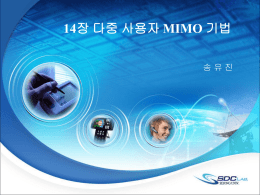 다중 사용자 MIMO 시스템의 채널 용량 (2)