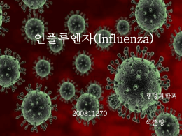 인플루엔자(Influenza)