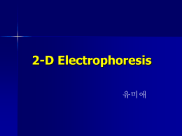 2-delectrophoresis