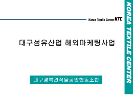 05년 대구섬유산업해외마케팅사업평가위원회발표자료.