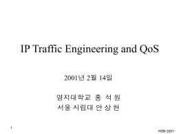 IP Traffic Engineering and QoS 홍석원(명지대)/안상현(서울시립대)