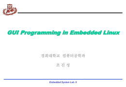 Embedded System Lab. II