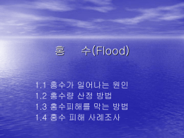 홍 수(Flood)