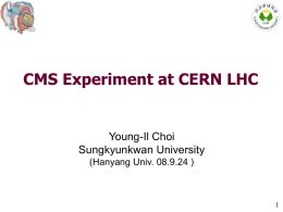 Korea-CMS Experiment Group